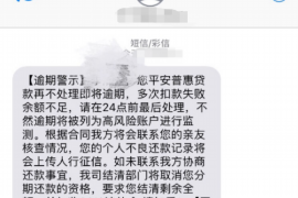 湘阴湘阴的要账公司在催收过程中的策略和技巧有哪些？